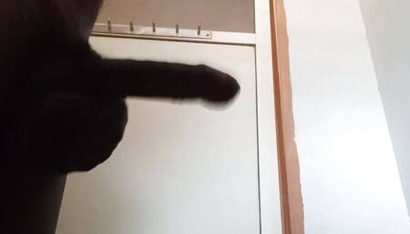 Toylet hand job