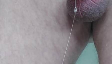 Little uncut penis nicely dripping precum