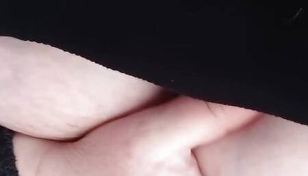 Boobies