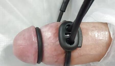 Estim milking