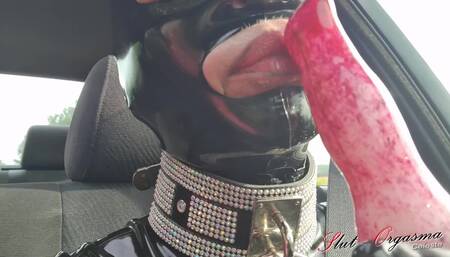 Slut-Orgasma Celeste on the  way home Canine deep throat in the car on a hot day
