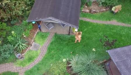 My nudist-garden, watched from above