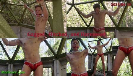 Gagged, Hitched, and Harnessed, 2023-04-18