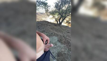 Griffith Park hike