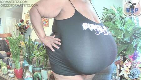 CUM SLUT NORMA STITZ IS LOOKING FOR YOU MP4 FORMAT