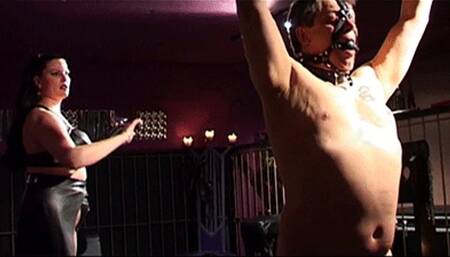 BULL WHIPPING - Mistress Manita & Slave - MP4