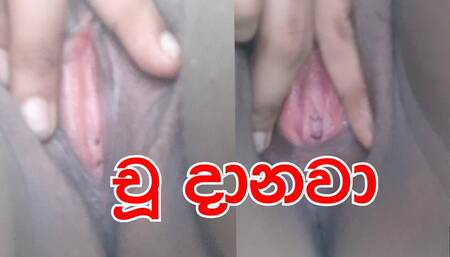 Rasa Sagaraya