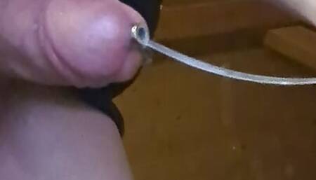 Penis Plug