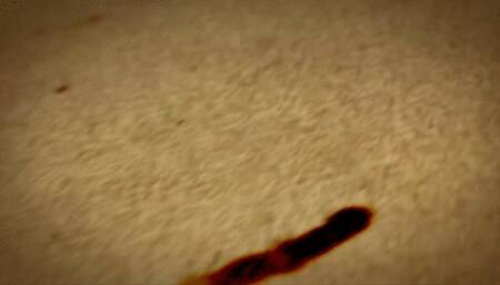 Sexy Lesbian Nuru Massage