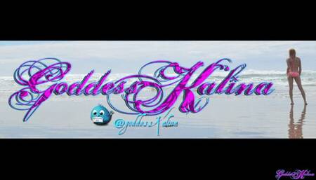 Divorce Her This Valentines Day