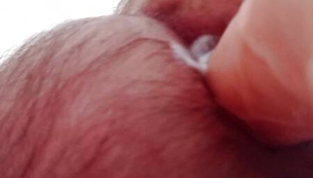 my ass