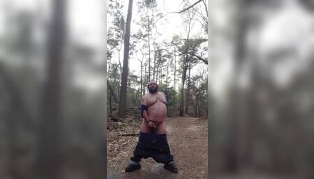 Chubby bear in the woods