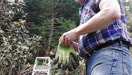 Taking down tree limbs and branches