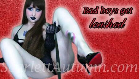 Bad boys get Leashed - WMV HD 1080p