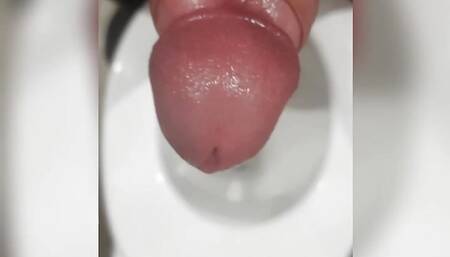 Janitor masturbate in toilet after work
