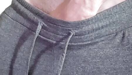 Gray Sweat Pants.