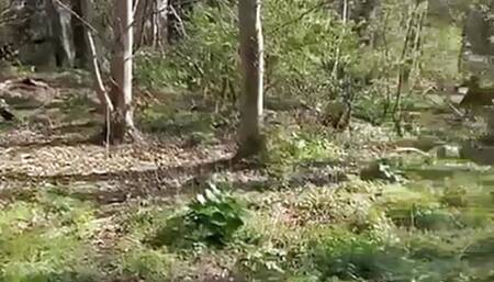 Lucky stranger getting a wank from me in the woods before I take him home for hard fuck