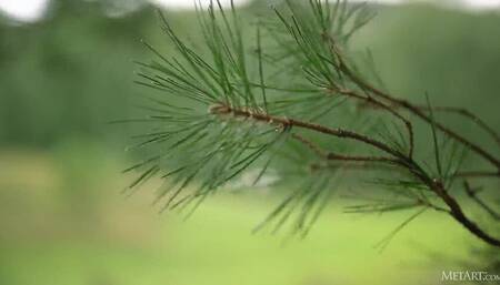 Alise Moreno Country Girl - MetArt