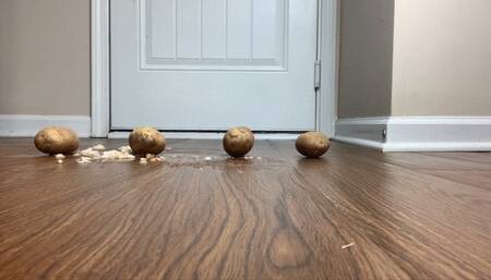 Hard Potatoes Meets Shoe