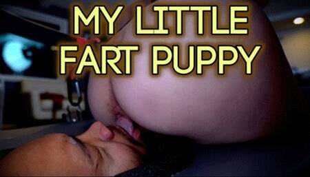 My LIttle Fart Puppy (HD 4K MP4)