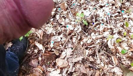 Having a piss in the woods