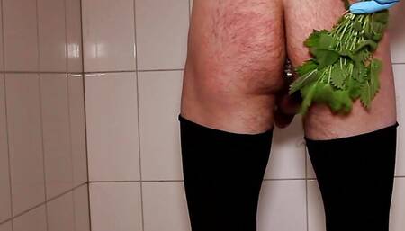 NETTLE SELFSPANK WITH BUTTPLUG AND WEARING CHASTITY CAGE