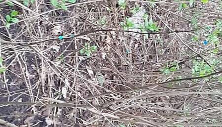 In the cold forest her tongue warms my pussy (shaking orgasm) - Lesbian-candys