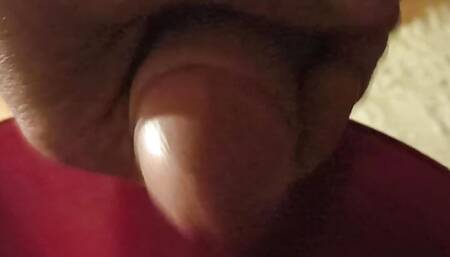 cheleche