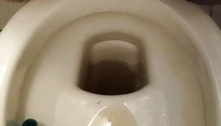 peeing in toilet who wanna drink it
