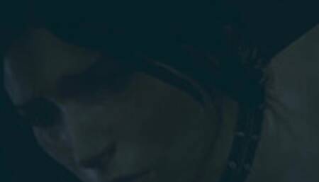 3D Porn Lara Croft fucked by wolf STUDIOFOW