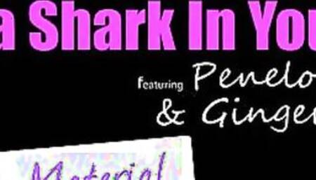 Is That A Shark Into Your Pants - S26:E3