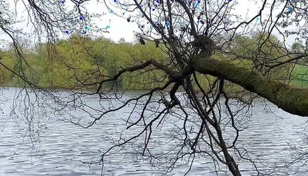 Outdoor wank at the lake