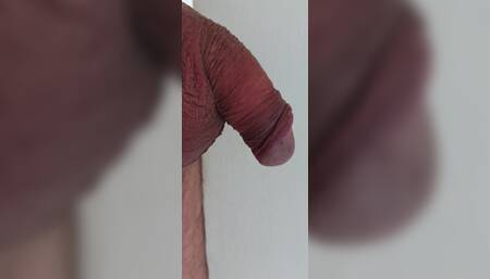 Purple cock bondage