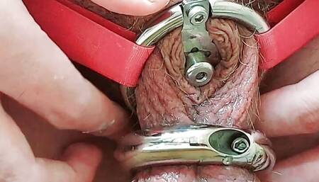 Pissing in an Inverted Chastity Cage Device with urethral sound