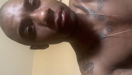 ALBI PLEASURE