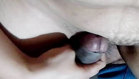 Sabanakhan80