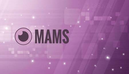 Tomato's threesome porn by Mams Casting