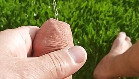 Pissen