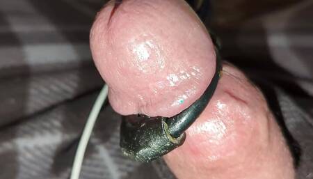 Growing cock cumshot 2