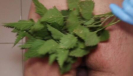Nettle spanking