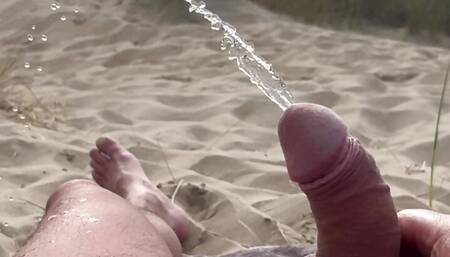 Pissing in public letting strangers watch me full nude