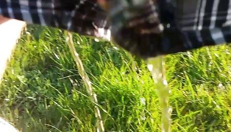 outside sunny morning boxer wetting
