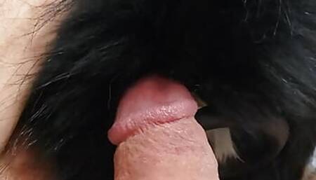 Fur suction dick sucking tube pump furry trim with bunny tail fetish masterbation