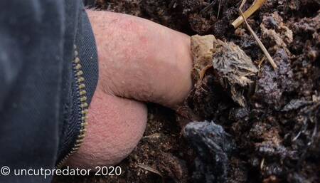 Big uncircumcised cock pees multiple times in tight dirt holes