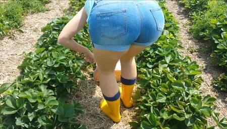 4 Paar Gummistiefel im Alltagstest