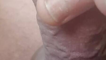 kutas
