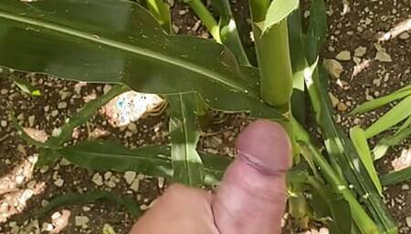 Cumshot in lost place