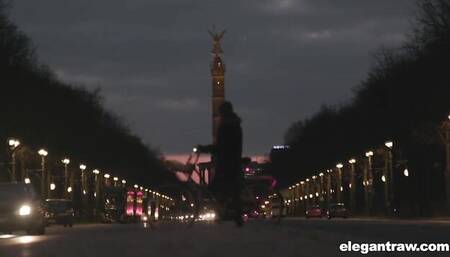 Elegant Raw - pornstar scene