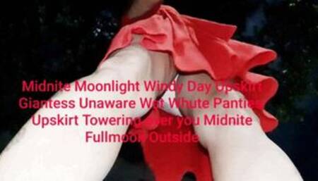Midnite Moonlight Windy Day Upskirt Giantess Unaware Wet Whute Panties Upskirt Towering over you Midnite Fullmoon Outside