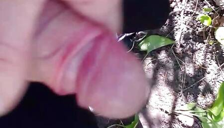 masturbation my penis